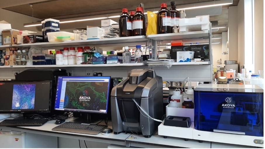 Photograph of a busy laboratory work bench and some imagine equipment.