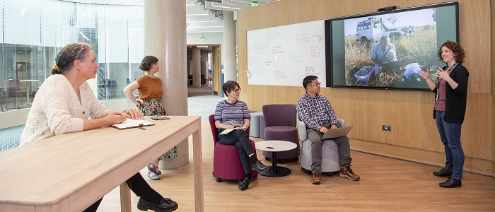 People sitting in an open plan office space with screens