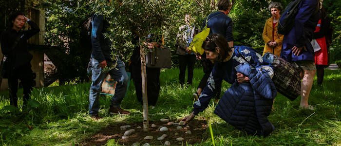 A woman kneeling down to place a stone at the peace tree at the University of Glasgow