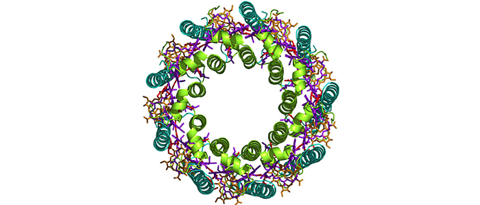 Graphic depiction of biophotonics