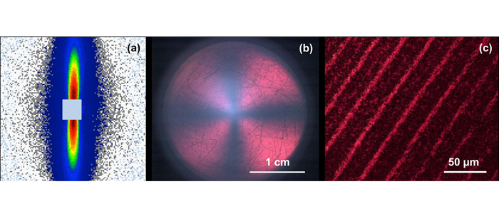 Graphic of small organic molecules