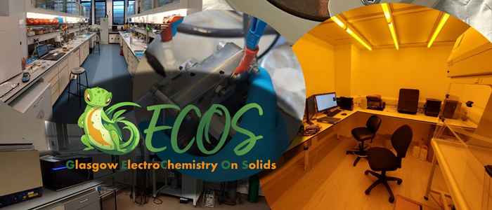 GECOS photo montage of facilities with a little cartoon lizard and logo