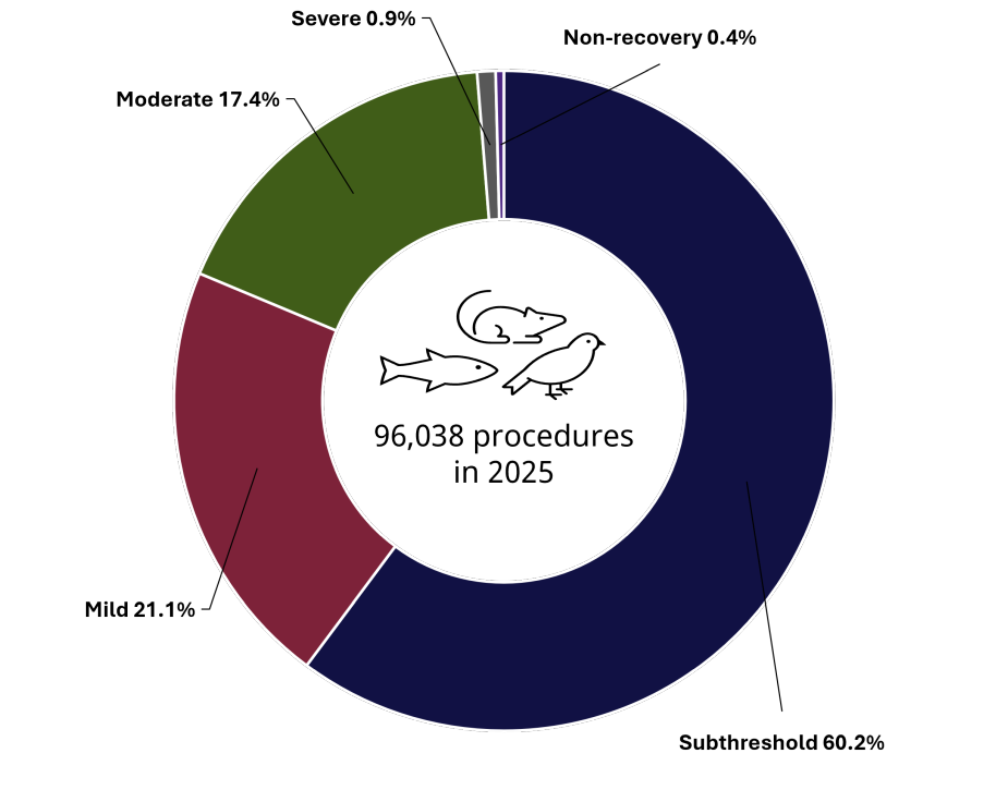 Graph of severity of procedures conducted in 2025