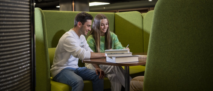 Language students studying