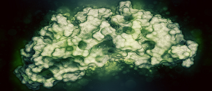 BMP-2 growth factor needed for bone regeneration