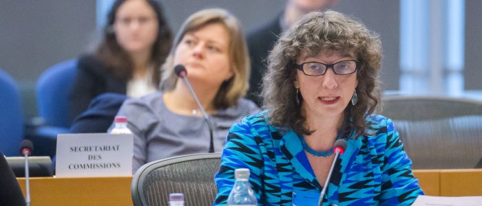 AP EU Parliament resize banner 1