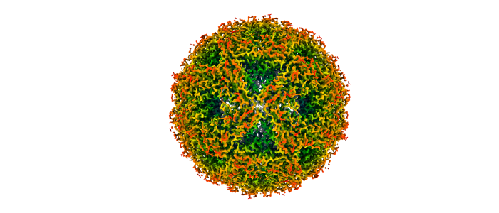 Cryo-EM reconstruction of lumazine synthase