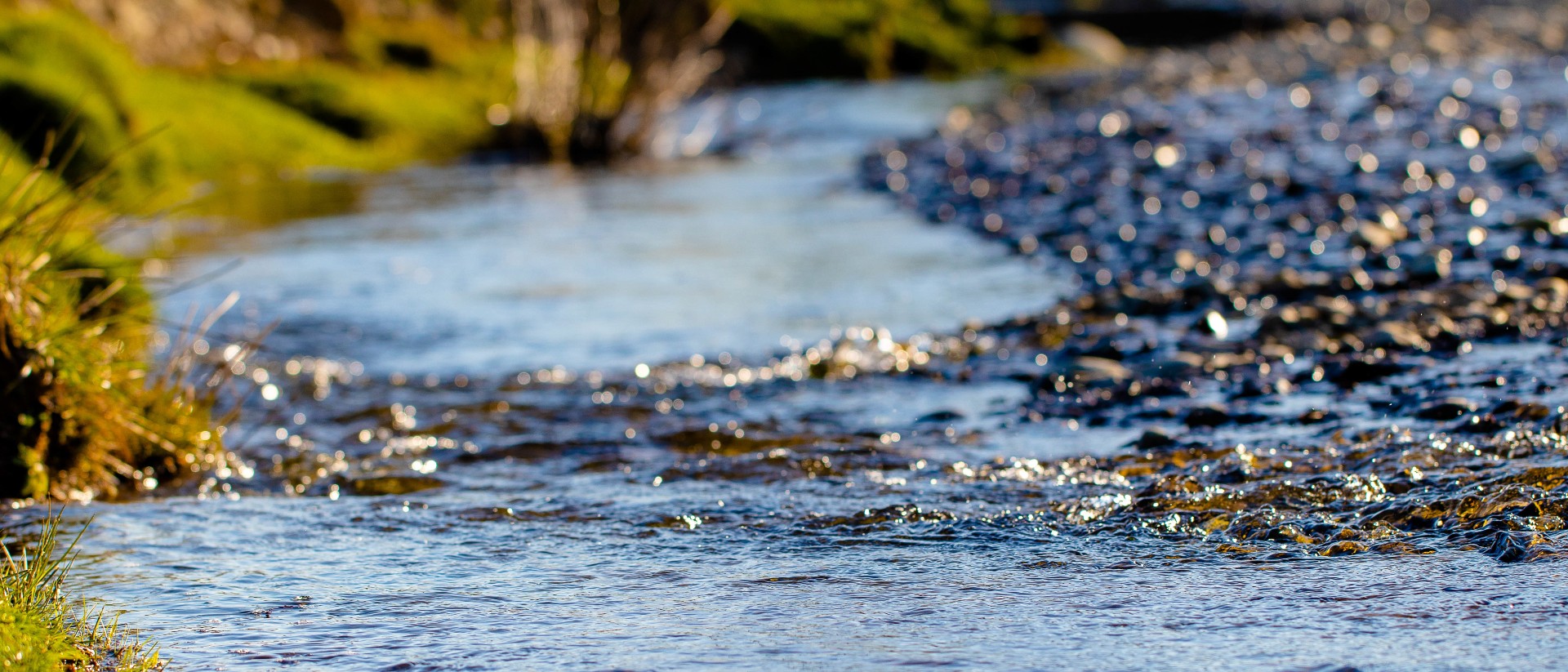 Close up of river in sunshine