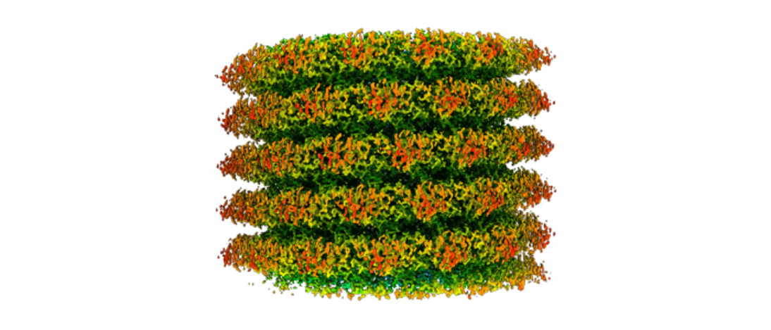 Cryo-EM reconstruction of tobacco mosaic virus
